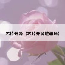 芯片开源（芯片开源链骗局）