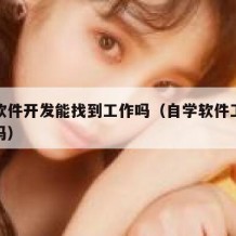 自学软件开发能找到工作吗（自学软件工程师能行吗）