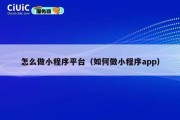 怎么做小程序平台（如何做小程序app）
