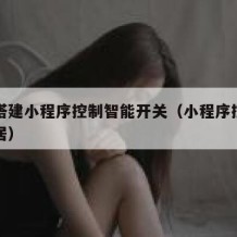 如何搭建小程序控制智能开关（小程序控制智能家居）