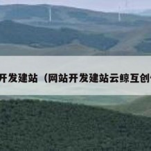 网站开发建站（网站开发建站云鲸互创优选）