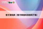 橙子源码网（橙子网络科技接码下载）