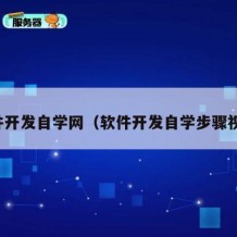 软件开发自学网（软件开发自学步骤视频）