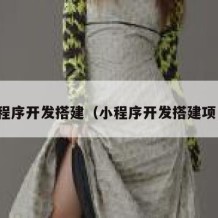 小程序开发搭建（小程序开发搭建项目）