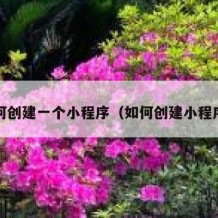 如何创建一个小程序（如何创建小程序?）