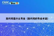 敲代码是什么专业（敲代码的专业术语）