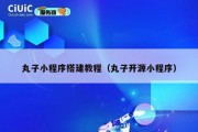 丸子小程序搭建教程（丸子开源小程序）