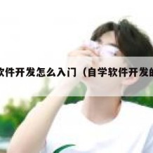 自学软件开发怎么入门（自学软件开发的步骤）