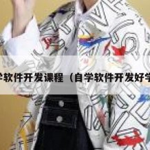自学软件开发课程（自学软件开发好学吗）