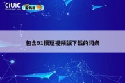 包含91摸短视频版下载的词条