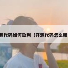 开源代码如何盈利（开源代码怎么赚钱）