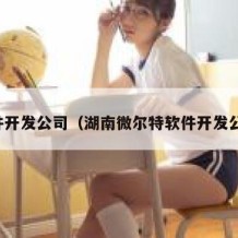 软件开发公司（湖南微尔特软件开发公司）