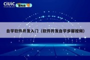 自学软件开发入门（软件开发自学步骤视频）