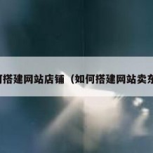 如何搭建网站店铺（如何搭建网站卖东西）