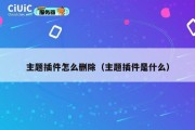 主题插件怎么删除（主题插件是什么）