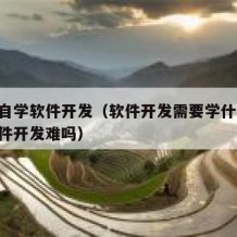 如何自学软件开发（软件开发需要学什么!自学软件开发难吗）