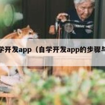 自学开发app（自学开发app的步骤与步骤）