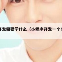 软件开发需要学什么（小程序开发一个多少钱啊）
