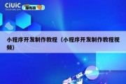 小程序开发制作教程（小程序开发制作教程视频）