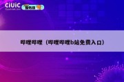 哔哩哔哩（哔哩哔哩b站免费入口）
