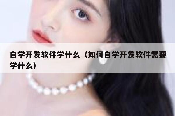 自学开发软件学什么（如何自学开发软件需要学什么） 第1张