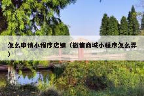 怎么申请小程序店铺(微信商城小程序怎么弄) 第1张 怎么申请小程序店铺(微信商城小程序怎么弄) 第1张
