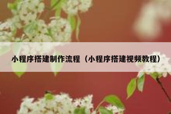 小程序搭建制作流程（小程序搭建视频教程） 第1张