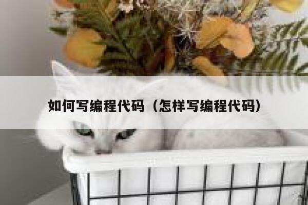 如何写编程代码（怎样写编程代码） 第1张