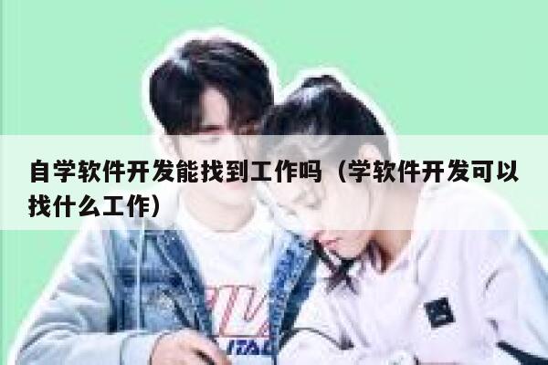 自学软件开发能找到工作吗（学软件开发可以找什么工作） 第1张