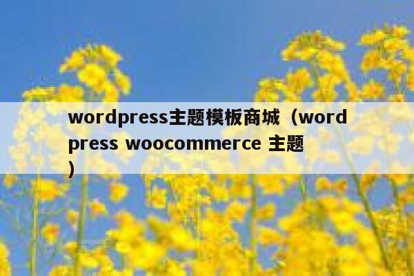 wordpress主题模板商城（wordpress woocommerce 主题） 第1张