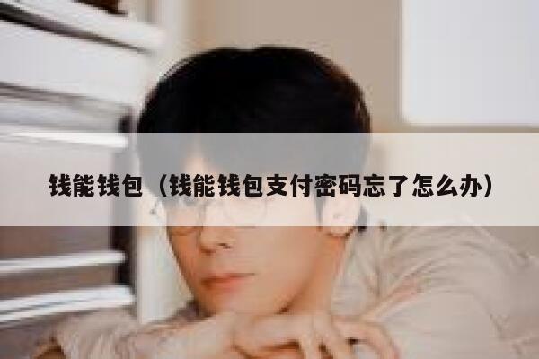钱能钱包（钱能钱包支付密码忘了怎么办） 第1张