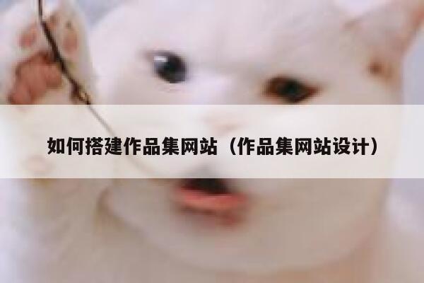 如何搭建作品集网站（作品集网站设计） 第1张