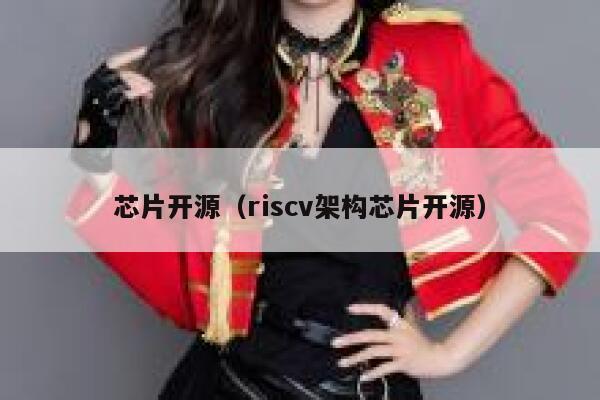 芯片开源（riscv架构芯片开源） 第1张