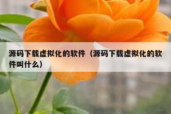 源码下载虚拟化的软件（源码下载虚拟化的软件叫什么） 第1张