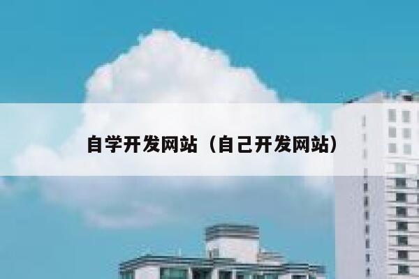 自学开发网站（自己开发网站） 第1张