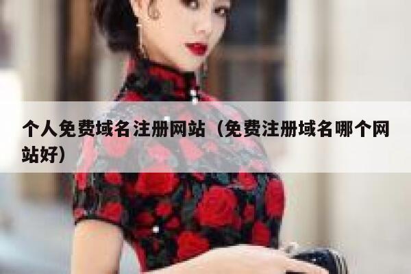 个人免费域名注册网站（免费注册域名哪个网站好） 第1张
