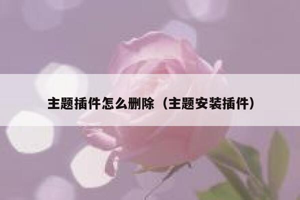 主题插件怎么删除（主题安装插件） 第1张