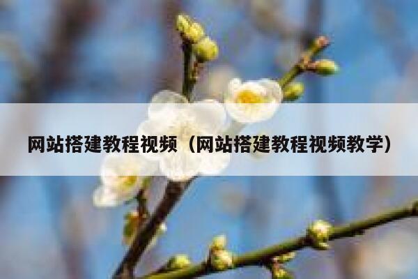 网站搭建教程视频（网站搭建教程视频教学） 第1张