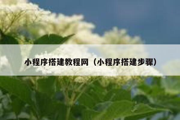 小程序搭建教程网(小程序搭建步骤) 第1张 小程序搭建教程网(小程序搭建步骤) 第1张