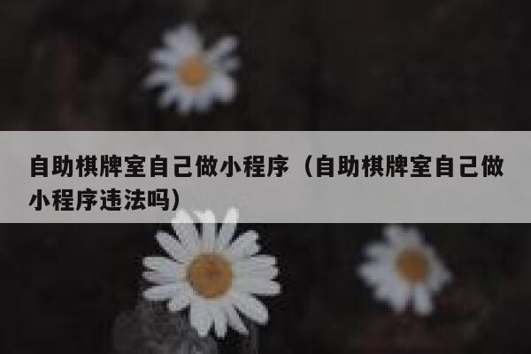 自助棋牌室自己做小程序（自助棋牌室自己做小程序违法吗） 第1张