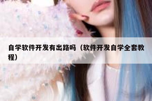 自学软件开发有出路吗（软件开发自学全套教程） 第1张