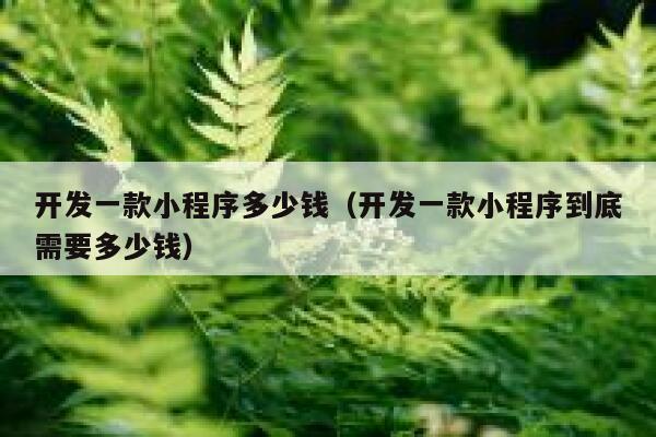 开发一款小程序多少钱（开发一款小程序到底需要多少钱） 第1张