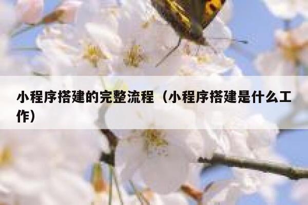 小程序搭建的完整流程（小程序搭建是什么工作） 第1张