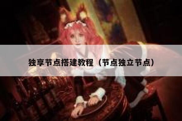 独享节点搭建教程(节点独立节点) 第1张 独享节点搭建教程(节点独立节点) 第1张