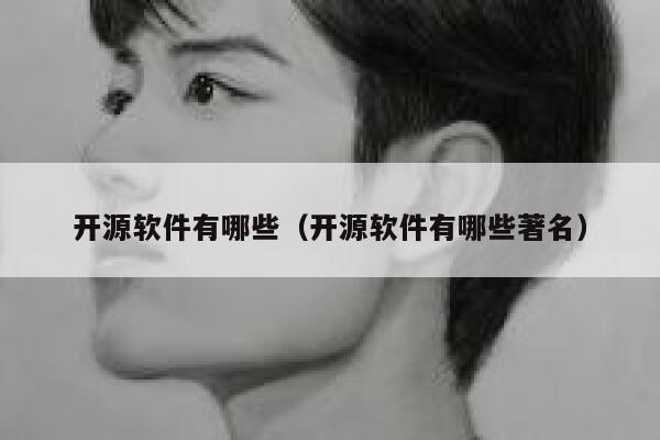 开源软件有哪些（开源软件有哪些著名） 第1张