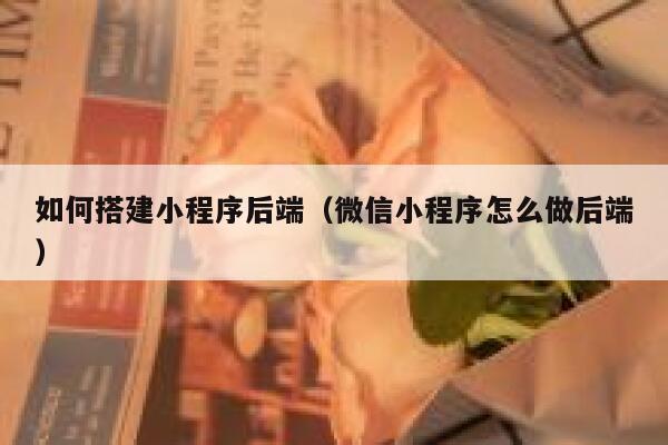 如何搭建小程序后端(微信小程序怎么做后端) 第1张 如何搭建小程序后端(微信小程序怎么做后端) 第1张
