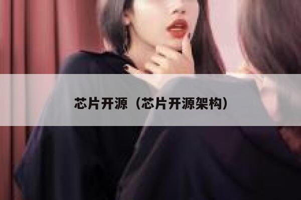 芯片开源（芯片开源架构） 第1张