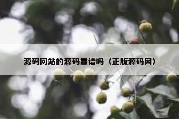 源码网站的源码靠谱吗（正版源码网） 第1张