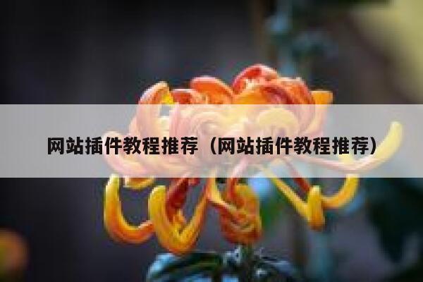 网站插件教程推荐（网站插件教程推荐） 第1张