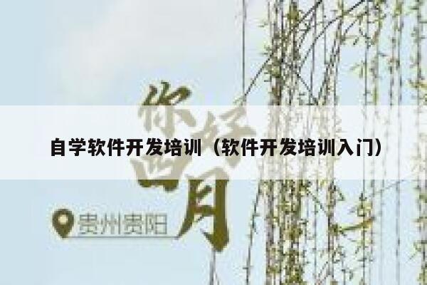 自学软件开发培训(软件开发培训入门) 第1张 自学软件开发培训(软件开发培训入门) 第1张